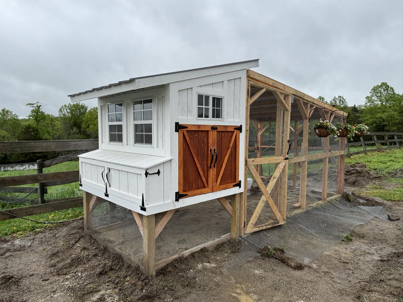 The finished coop, white board-and-batten with wood double doors and a screened run, on the fence line